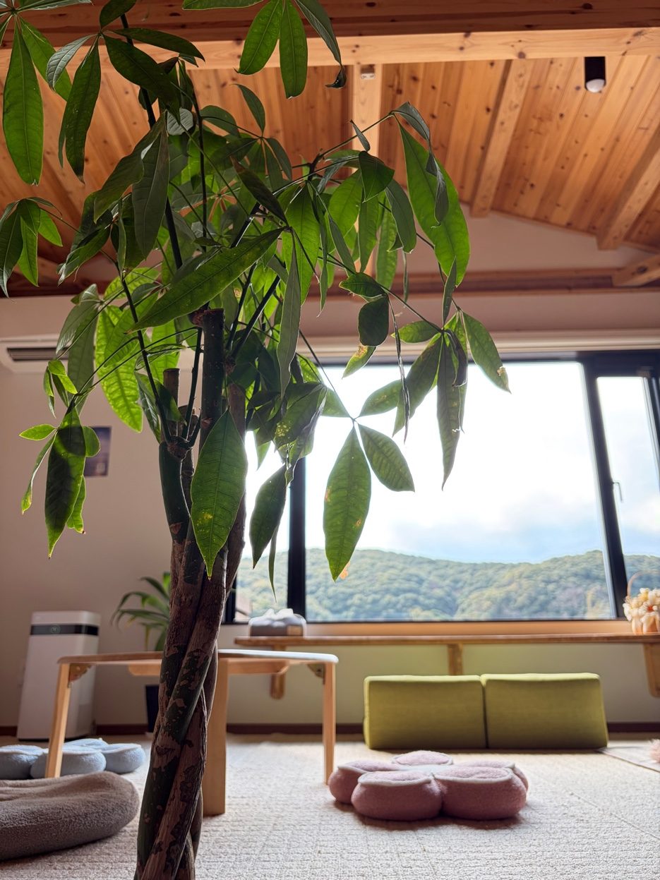 やまぼうし 共用スペース